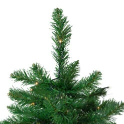 Northlight 9' Pre-Lit Twin Lakes Fir Artificial Christmas Tree - Warm White LED Lights 11 Northlight 9' Pre-Lit Twin Lakes Fir Artificial Christmas Tree - Warm White LED Lights -Northlight Shop northlight hb27053 2 56355.1588396859