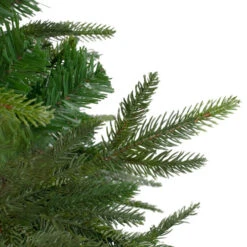 Northlight 7.5' Roosevelt Fir Artificial Christmas Tree - Unlit 10 Northlight 7.5' Roosevelt Fir Artificial Christmas Tree - Unlit -Northlight Shop northlight hb27074 3updae 22532.1674726304