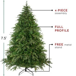 Northlight 7.5' Pre-Lit Full Roosevelt Fir Artificial Christmas Tree - Warm White LED Lights -Northlight Shop northlight hb27077 thumbnail 1 42549.1663689159