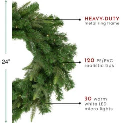 Northlight Pre-Lit Roosevelt Fir Artificial Christmas Wreath - 24-Inch, Warm White LED Lights -Northlight Shop northlight hb27080 thumbnail 89539.1604715863