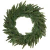Northlight Pre-Lit Roosevelt Fir Artificial Christmas Wreath - 24-Inch, Warm White LED Lights