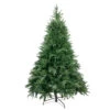Northlight 7.5' Medium Silverthorne Fir Artificial Christmas Tree - Unlit -Northlight Shop northlight hb27127 83611.1588396852