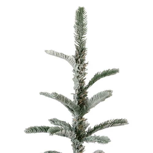Northlight 7.5' Slim Flocked Nordmann Fir Artificial Christmas Tree - Unlit 6 Northlight 7.5' Slim Flocked Nordmann Fir Artificial Christmas Tree - Unlit - Image 4