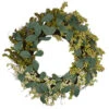Northlight Berries And Leaves Twig Artificial Wreath, Green 24-Inch -Northlight Shop northlight kji28194 45208.1588355337