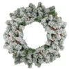 Northlight Pre-Lit Heavily Flocked Pine Artificial Christmas Wreath - 24-Inch, Multi-Color Lights 2 Northlight Pre-Lit Heavily Flocked Pine Artificial Christmas Wreath - 24-Inch, Multi-Color Lights -Northlight Shop northlight m84251 63010.1588370962