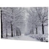 Northlight Fiber Optic Lighted Winter Lane Snowfall Christmas Canvas Wall Art 23.5" X 15.75" -Northlight Shop northlight nj75551 01 69627.1695052432
