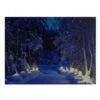 Northlight LED Lighted Nighttime In The Woods Winter Scene Canvas Wall Art 15.75" -Northlight Shop northlight nj82847 updated 39631.1665611029