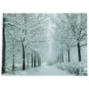 Northlight LED Lighted Fiber Optic Twinkling Snow Covered Tree Scene Canvas Wall Art 15.75" X 11.75" -Northlight Shop northlight nj83099 1 98063.1664901054