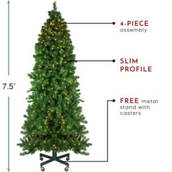 Northlight 7.5' Pre-Lit Slim Olympia Pine Artificial Christmas Tree - Warm White Lights -Northlight Shop northlight nl03216 thumbnail 1 30303.1665611927