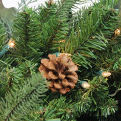 Northlight 5' Pre-lit Green Potted Mixed Winter Pine Medium Artificial Christmas Tree - Clear Lights -Northlight Shop northlight nl03790 2 62735.1588356254