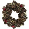 Northlight Red Berries And Pine Cones Artificial Christmas Wreath - 13.25-Inch, Unlit -Northlight Shop northlight sh03925 updated 25753.1588362552