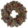 Northlight Iced Pine Cone And Berries With Botanicals Artificial Christmas Wreath, 13-Inch, Unlit -Northlight Shop northlight sh36229 1 82951.1587643029