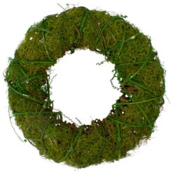 Northlight Moss And Vine Artificial Wreath, Green 12-Inch