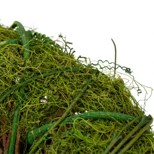 Northlight Moss And Vine Artificial Wreath, Green 12-Inch 5 Northlight Moss And Vine Artificial Wreath, Green 12-Inch - Image 3