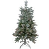 Northlight 4.5' Pre-Lit Flocked Whistler Noble Fir Artificial Christmas Tree, Clear Lights -Northlight Shop northlight sp15024 79685.1587645151