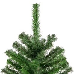 Northlight 4' Colorado Spruce Full Artificial Christmas Tree, Unlit -Northlight Shop northlight v03972 3 83810.1665087792