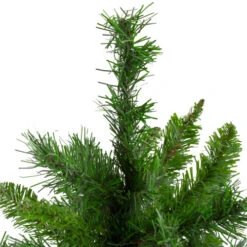 Northlight 24" Mixed Kateson Fir Medium Artificial Christmas Tree - Unlit -Northlight Shop northlight v03996 2 updated 42129.1628608992