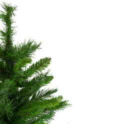 Northlight 24" Mixed Kateson Fir Medium Artificial Christmas Tree - Unlit -Northlight Shop northlight v03996 3 updated 04868.1628608992