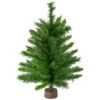 Northlight 24" Mixed Kateson Fir Medium Artificial Christmas Tree - Unlit 1 Northlight 24" Mixed Kateson Fir Medium Artificial Christmas Tree - Unlit -Northlight Shop northlight v03996 updated 04254.1628608990