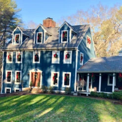 Northlight Canadian Pine Artificial Christmas Wreath, 24-Inch, Unlit 11 Northlight Canadian Pine Artificial Christmas Wreath, 24-Inch, Unlit -Northlight Shop northlight v04268 cxpic 07513.1677579786