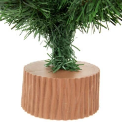 Northlight 24" Mini Pine Medium Artificial Christmas Tree, Unlit -Northlight Shop northlight v04276 3 89005.1669884306