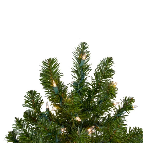 Northlight 2' Pre-Lit Medium Canadian Pine Artificial Christmas Tree - Clear Lights 6 Northlight 2' Pre-Lit Medium Canadian Pine Artificial Christmas Tree - Clear Lights - Image 4