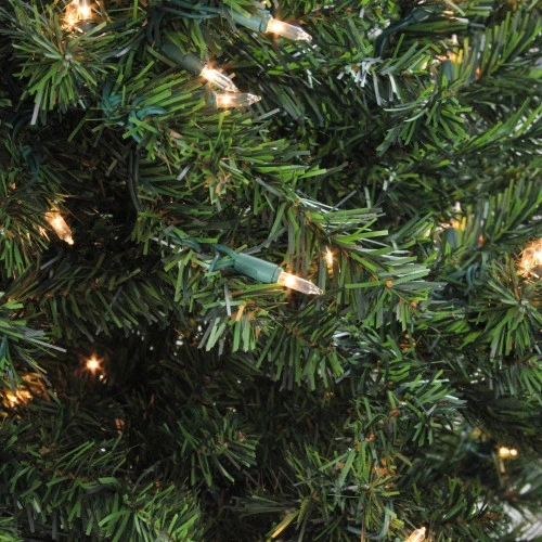 Northlight 2' Pre-Lit Medium Canadian Pine Artificial Christmas Tree - Clear Lights 5 Northlight 2' Pre-Lit Medium Canadian Pine Artificial Christmas Tree - Clear Lights - Image 3