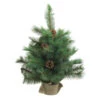 Northlight 2' Royal Oregon Pine Medium Artificial Christmas Tree In Burlap Base - Unlit -Northlight Shop northlight v15918 35048.1587643015