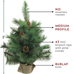 Northlight 2' Royal Oregon Pine Medium Artificial Christmas Tree In Burlap Base - Unlit -Northlight Shop northlight v15918 thumbnail 82117.1604542603