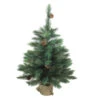 Northlight 3' Potted Royal Oregon Pine Burlap Base Full Artificial Christmas Tree - Unlit 2 Northlight 3' Potted Royal Oregon Pine Burlap Base Full Artificial Christmas Tree - Unlit -Northlight Shop northlight v15919 new 66406.1665783338