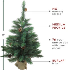 Northlight 3' Potted Royal Oregon Pine Burlap Base Full Artificial Christmas Tree - Unlit -Northlight Shop northlight v15919 thumbnail 85202.1665591527