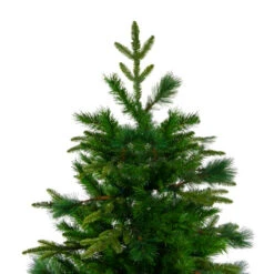 Northlight 7.5' Medium Mixed Rosemary Emerald Angel Pine Artificial Christmas Tree - Unlit -Northlight Shop northlight v27336 2 66814.1588369083