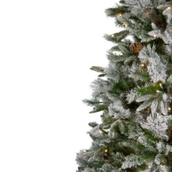 Northlight 6.5' Pre-Lit LED Full Mixed Rosemary Emerald Angel Pine Artificial Christmas Tree - Clear Lights 12 Northlight 6.5' Pre-Lit LED Full Mixed Rosemary Emerald Angel Pine Artificial Christmas Tree - Clear Lights -Northlight Shop northlight v27363 1 28621.1587643979