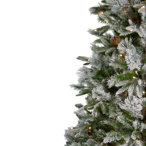 Northlight 6.5' Pre-Lit LED Full Mixed Rosemary Emerald Angel Pine Artificial Christmas Tree - Clear Lights 7 Northlight 6.5' Pre-Lit LED Full Mixed Rosemary Emerald Angel Pine Artificial Christmas Tree - Clear Lights - Image 5