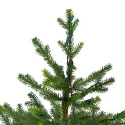 Northlight 6.5' Pre-Lit Full North Pine Artificial Christmas Tree - Clear LED Lights -Northlight Shop northlight v27366 2 40619.1588369086