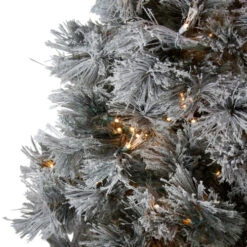 Northlight 7.5' Pre-Lit Full Black Spruce Artificial Christmas Tree - Clear LED Lights -Northlight Shop northlight v27372 2 37581.1588362215