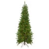 Northlight 6.5' Pre-Lit Canadian Pine Artificial Pencil Christmas Tree - Clear Lights 2 Northlight 6.5' Pre-Lit Canadian Pine Artificial Pencil Christmas Tree - Clear Lights -Northlight Shop northlight v27380 62060.1665260245
