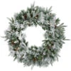 Northlight Pre-Lit Flocked Rosemary Emerald Angel Pine Artificial Christmas Wreath - 30-Inch, Clear LED Lights -Northlight Shop northlight v27390 01 50939.1692025709