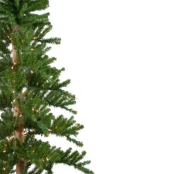 Northlight 6' Pre-Lit Pencil Alpine Artificial Christmas Tree, Clear Lights 12 Northlight 6' Pre-Lit Pencil Alpine Artificial Christmas Tree, Clear Lights -Northlight Shop northlight v27436 1 16108.1665610430