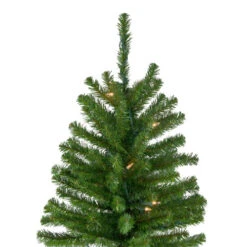 Northlight 6' Pre-Lit Pencil Alpine Artificial Christmas Tree, Clear Lights 11 Northlight 6' Pre-Lit Pencil Alpine Artificial Christmas Tree, Clear Lights -Northlight Shop northlight v27436 2 53283.1665610430