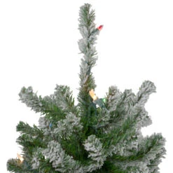Northlight Set Of 3 Pre-Lit Slim Flocked Alpine Artificial Christmas Trees 6' - Multicolor Lights -Northlight Shop northlight v27442 3updated 39887.1665696781