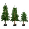 Northlight Set Of 3 Alpine Artificial Christmas Trees 3', 4'and 5'- Unlit 2 Northlight Set Of 3 Alpine Artificial Christmas Trees 3', 4'and 5'- Unlit -Northlight Shop northlight v27452 14527.1588358961