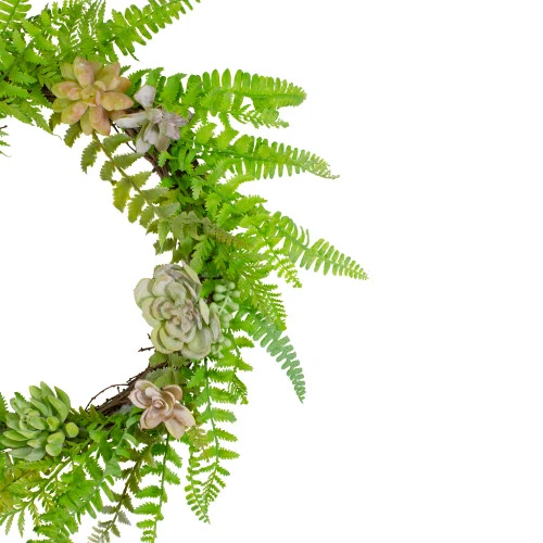 Northlight Succulents And Foliage Artificial Spring Twig Wreath, Green - 22-Inch 5 Northlight Succulents And Foliage Artificial Spring Twig Wreath, Green - 22-Inch - Image 3