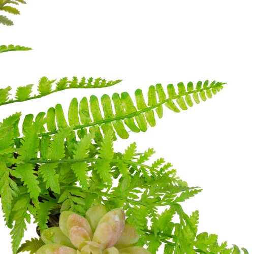 Northlight Succulents And Foliage Artificial Spring Twig Wreath, Green - 22-Inch 6 Northlight Succulents And Foliage Artificial Spring Twig Wreath, Green - 22-Inch - Image 4