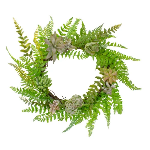Northlight Succulents And Foliage Artificial Spring Twig Wreath, Green - 22-Inch 3 Northlight Succulents And Foliage Artificial Spring Twig Wreath, Green - 22-Inch