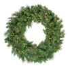 Northlight Mixed Canyon Pine Artificial Christmas Wreath - 36-Inch, Clear Lights