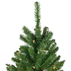 Northlight 7.5' Pre-Lit Pencil White River Fir Artificial Christmas Tree - Clear Lights 11 Northlight 7.5' Pre-Lit Pencil White River Fir Artificial Christmas Tree - Clear Lights -Northlight Shop northlight z16022 3 15732.1665610747