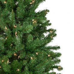 Northlight 7.5' Pre-Lit Pencil White River Fir Artificial Christmas Tree - Clear Lights 10 Northlight 7.5' Pre-Lit Pencil White River Fir Artificial Christmas Tree - Clear Lights -Northlight Shop northlight z16022 6new 24054.1665610747