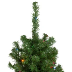 Northlight 6' Pre-Lit Alberta Pine Slim Artificial Christmas Tree - Multi Lights 9 Northlight 6' Pre-Lit Alberta Pine Slim Artificial Christmas Tree - Multi Lights -Northlight Shop northlight z16024 1 81926.1665610747