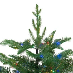 Northlight 7.5' Pre-Lit Medium Ashland Sitka Spruce Artificial Christmas Tree - Multicolor LED Lights 12 Northlight 7.5' Pre-Lit Medium Ashland Sitka Spruce Artificial Christmas Tree - Multicolor LED Lights -Northlight Shop northlight z16061 2 43747.1587644176